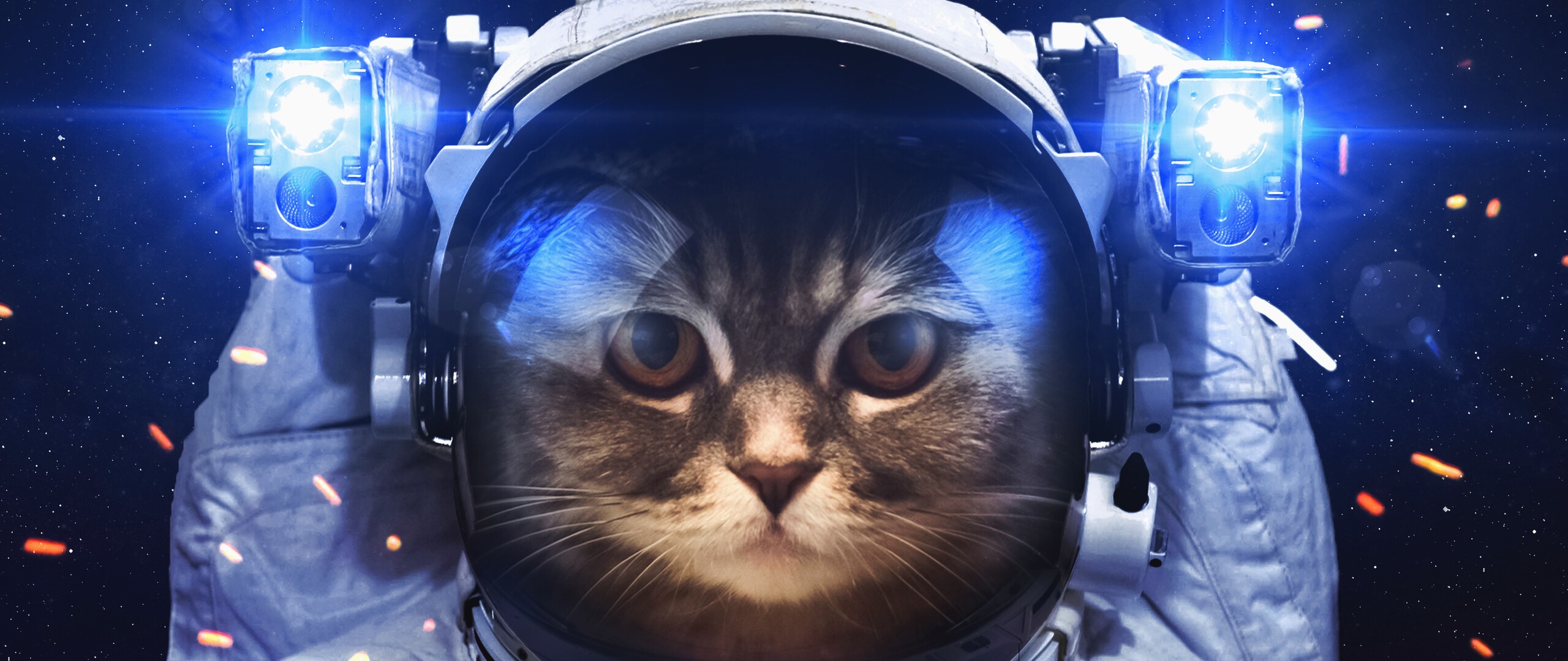 Astronaut Cat Wallpapers