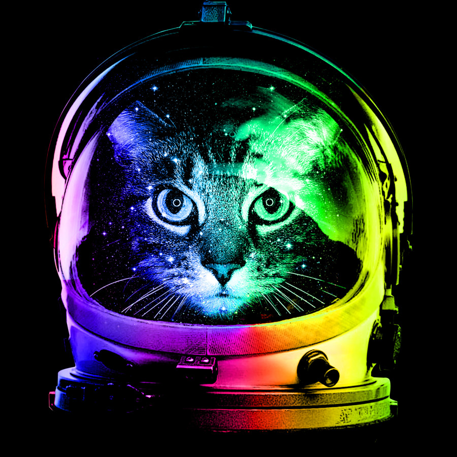 Astronaut Cat Wallpapers