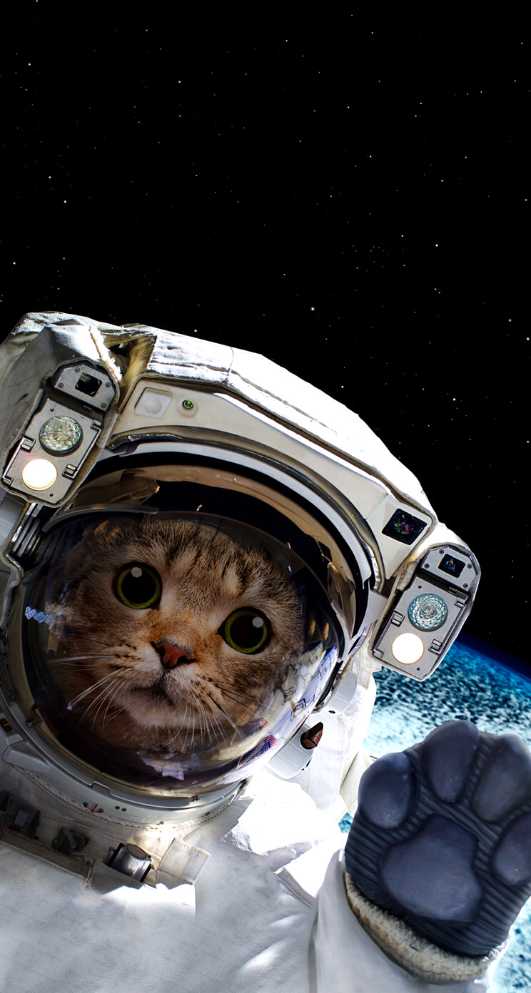 Astronaut Cat Wallpapers