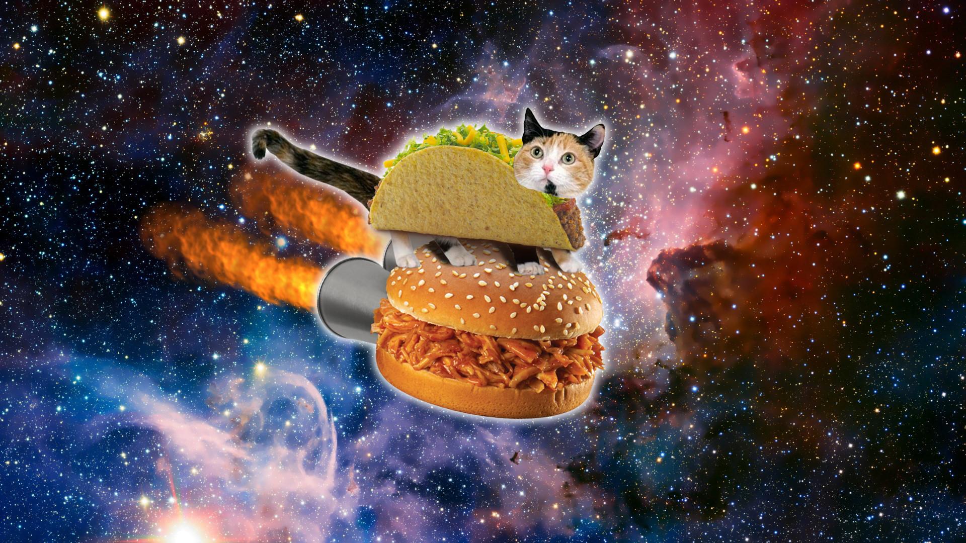 Astronaut Cat Wallpapers