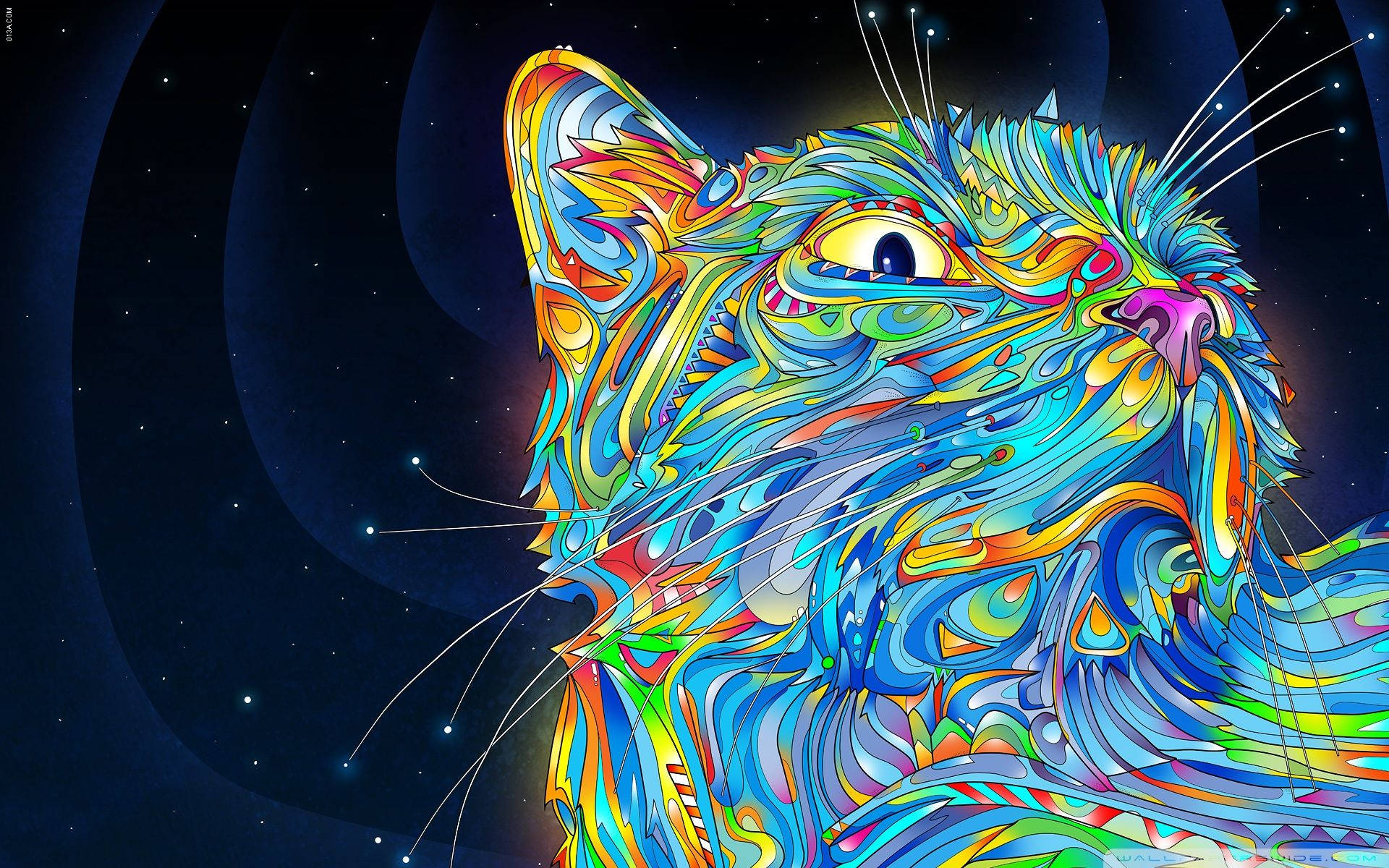 Astronaut Cat Wallpapers