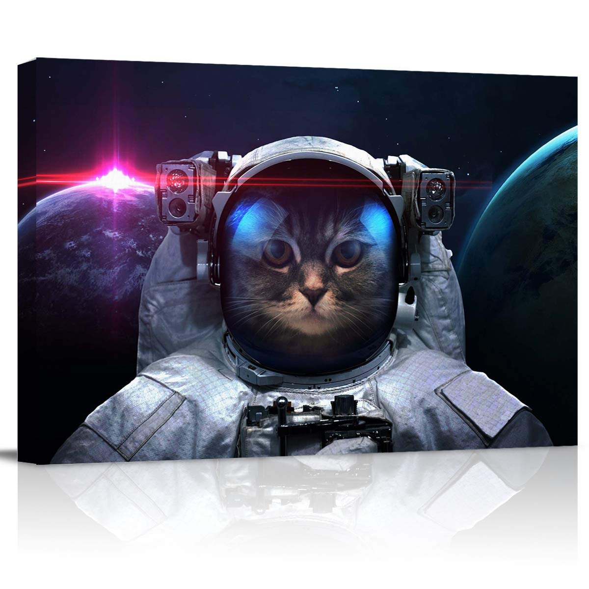 Astronaut Cat Wallpapers