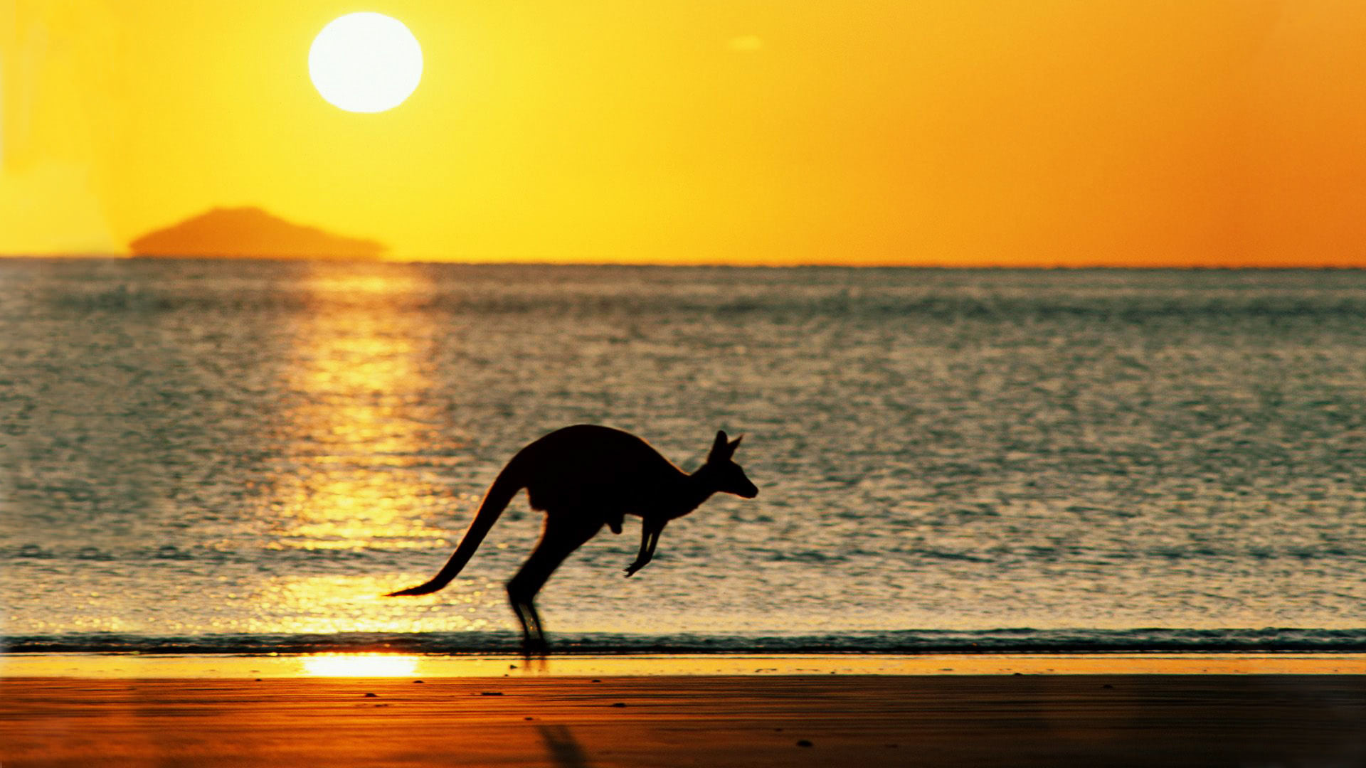 Australian Beach Wallpapers