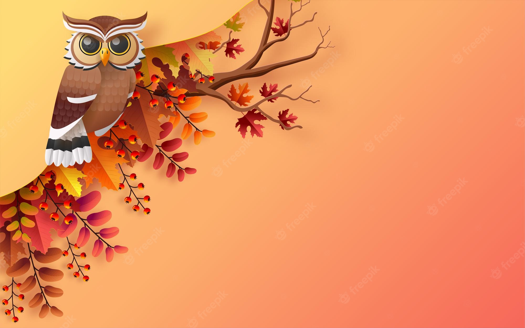Autumn Owl Wallpapers