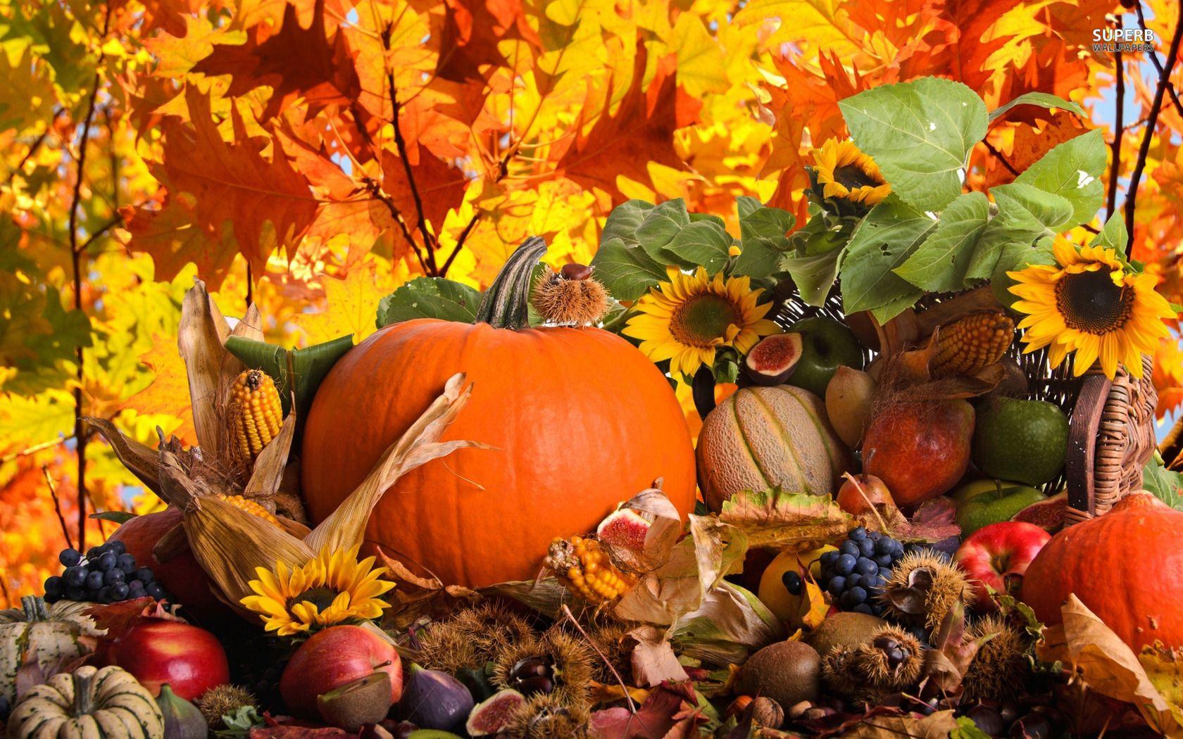 Autumn Pictures With Pumpkins For Desktop Wallpapers