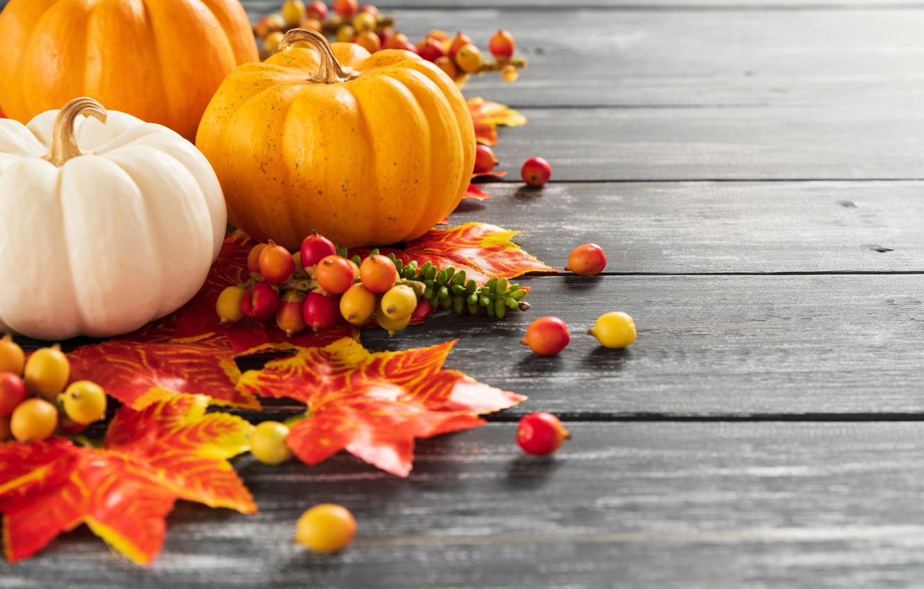 Autumn Pumpkins Wallpapers