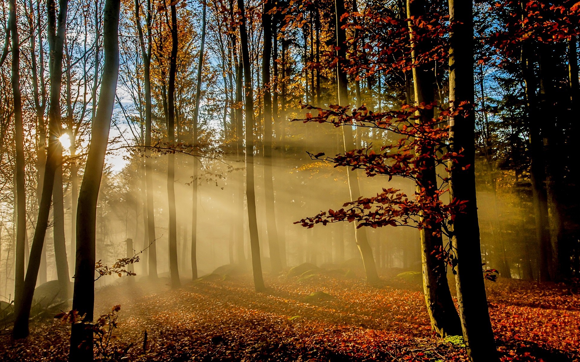 Autumn Sunrise Wallpapers