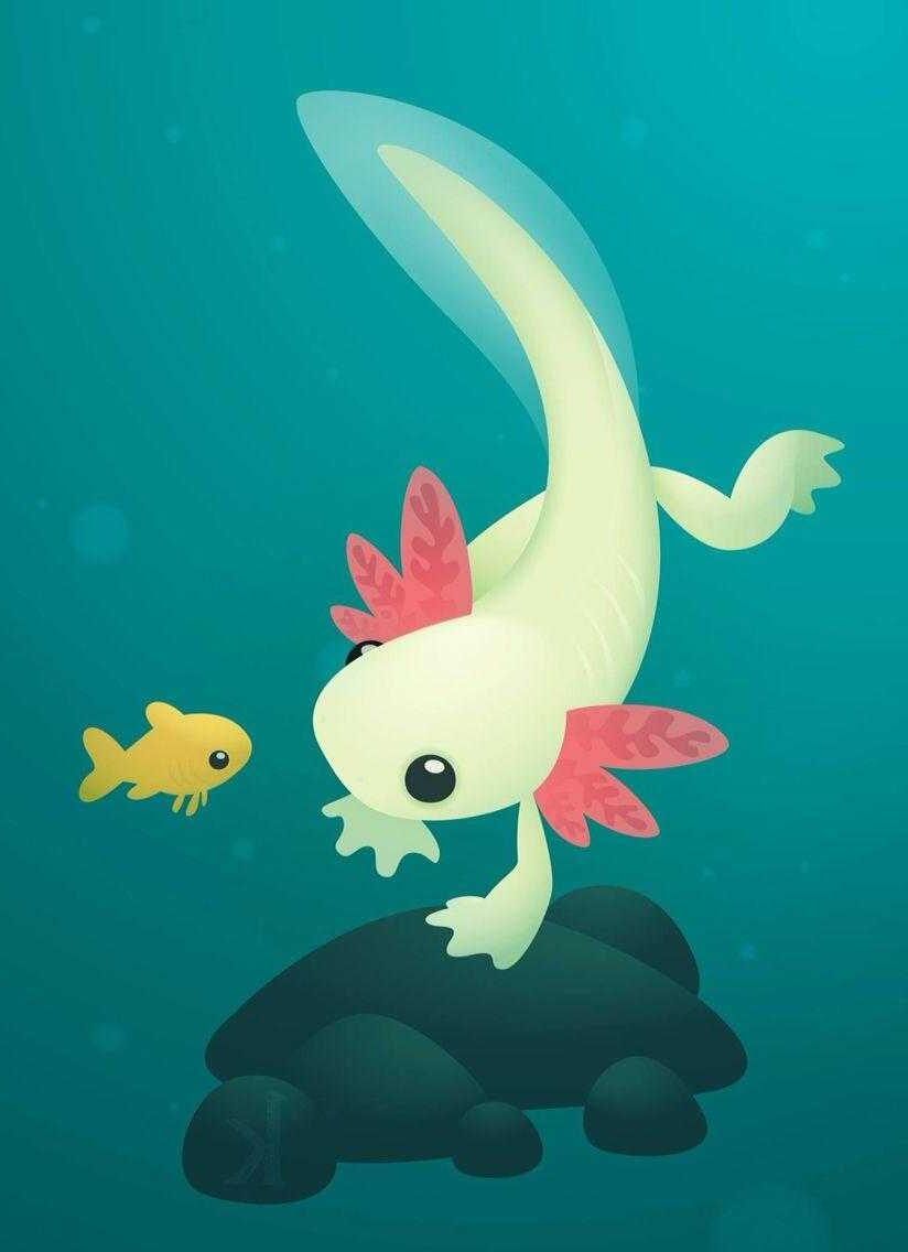 Axolotl Wallpapers