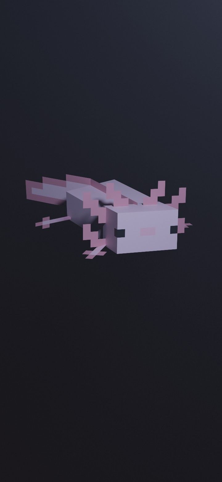 Axolotl Wallpapers