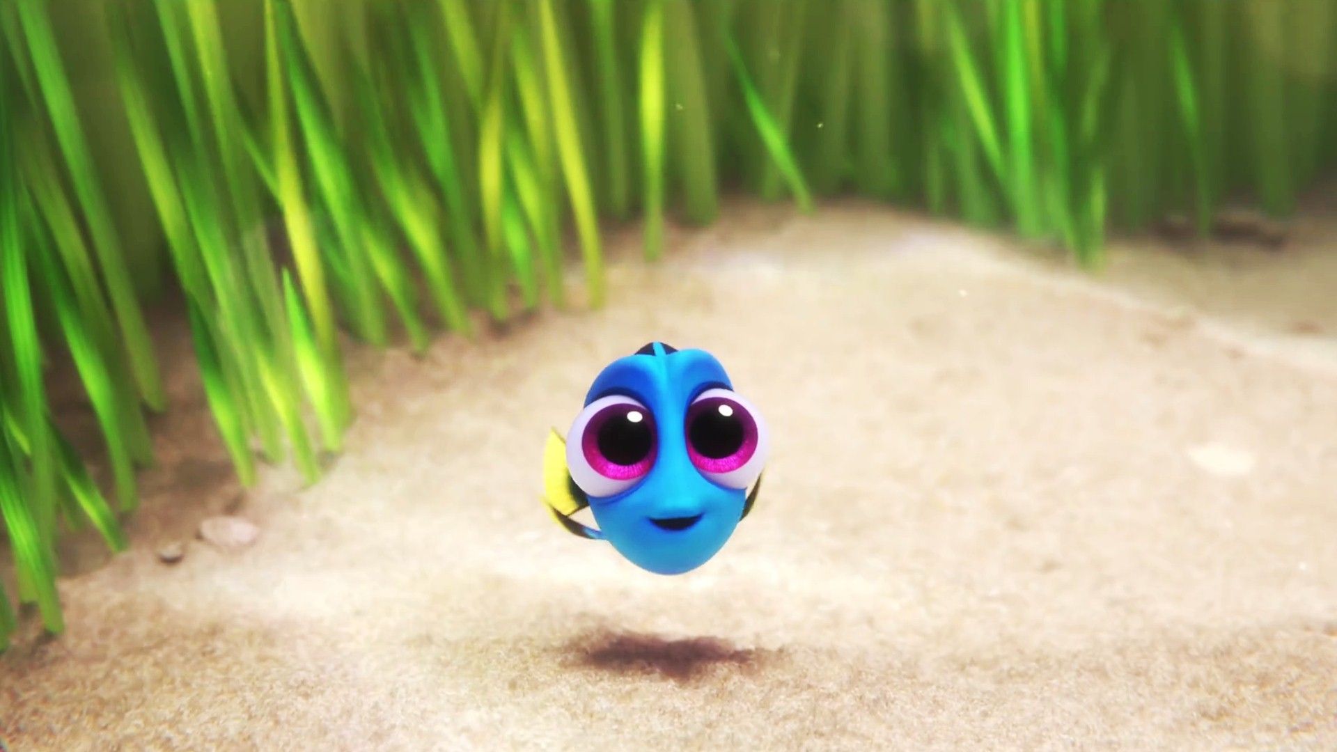 Baby Dory Wallpapers