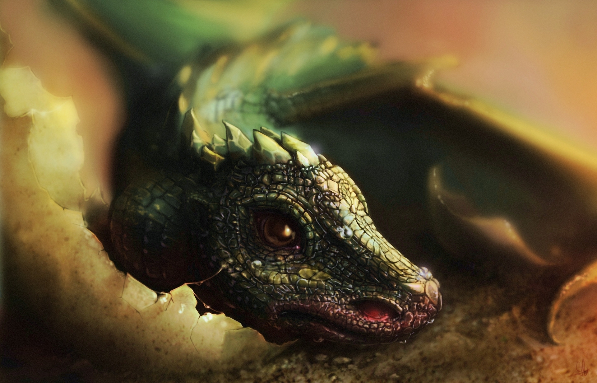 Baby Dragon Wallpapers