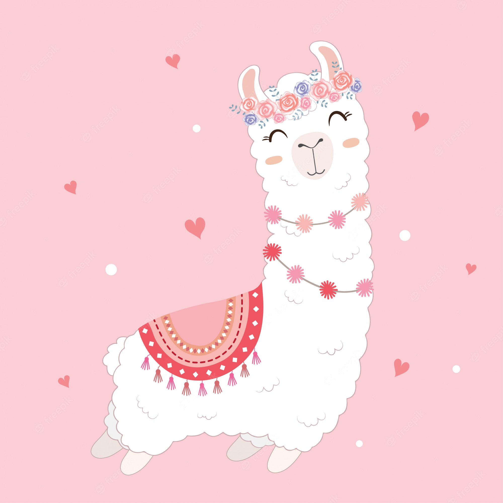 Baby Llama Pics Wallpapers