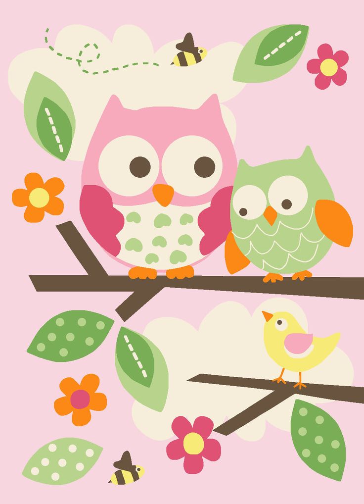 Baby Owls Cartoons Wallpapers