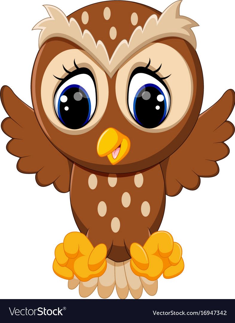 Baby Owls Cartoons Wallpapers