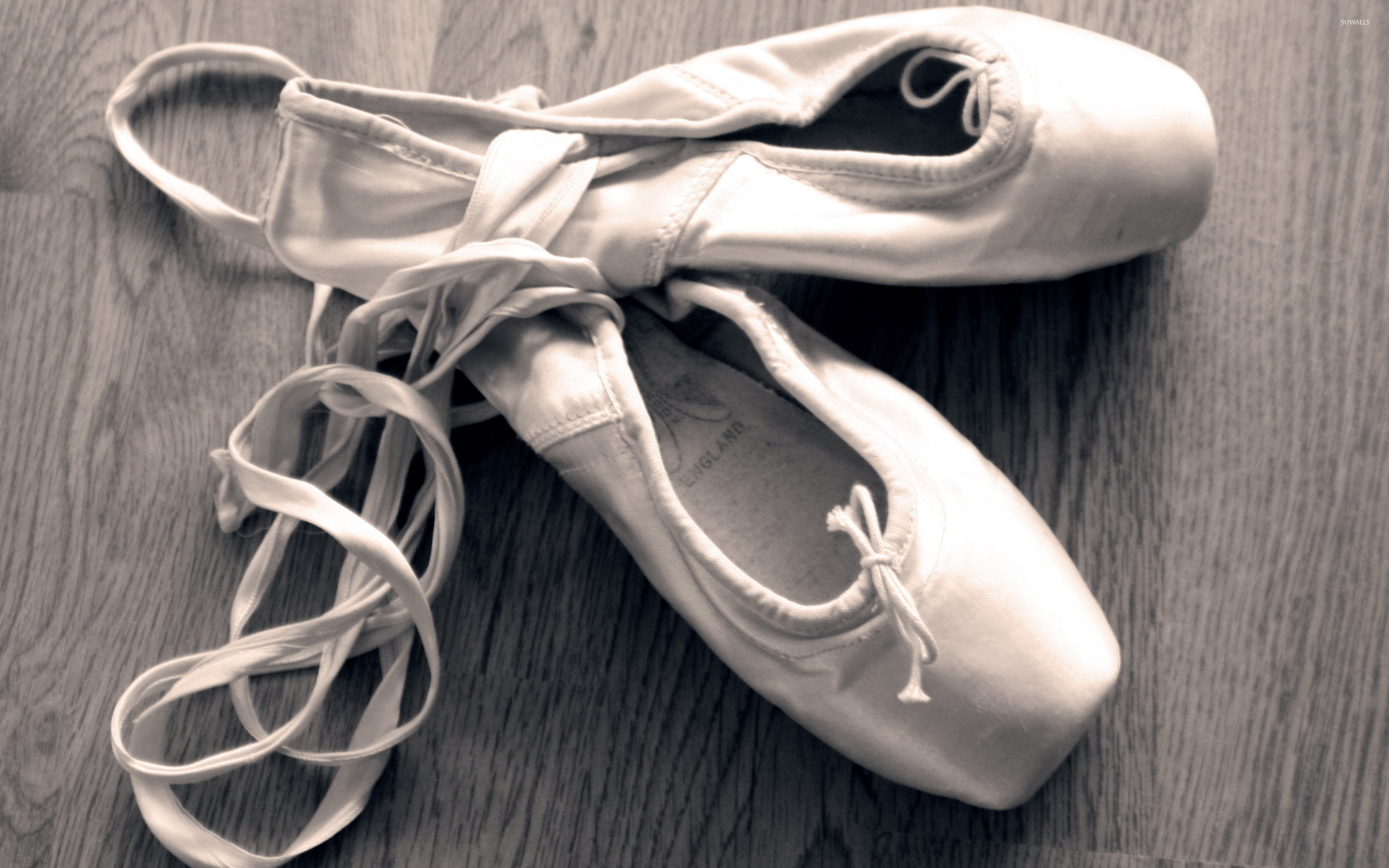 Ballet Shoes Wallpapers