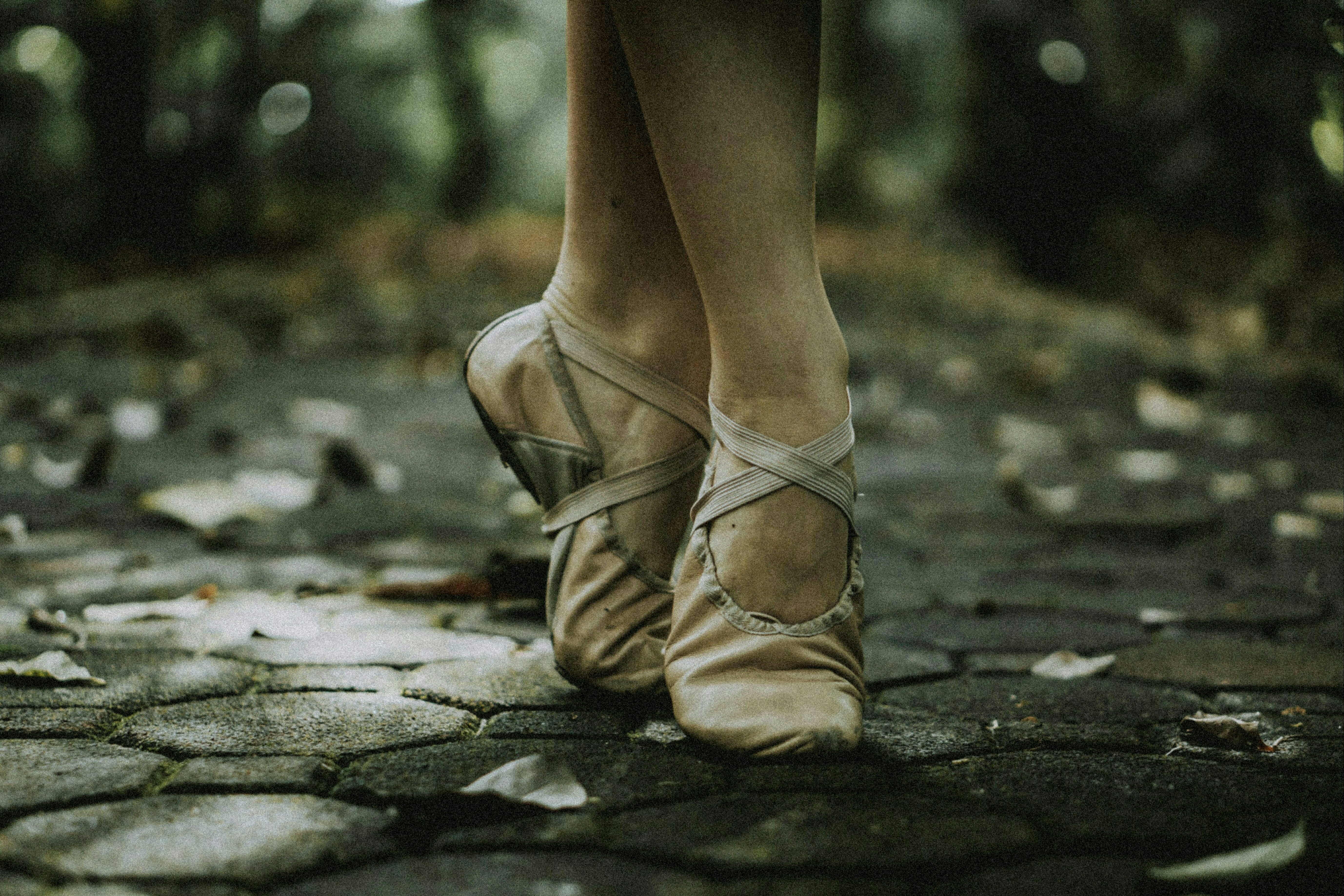 Ballet Shoes Wallpapers