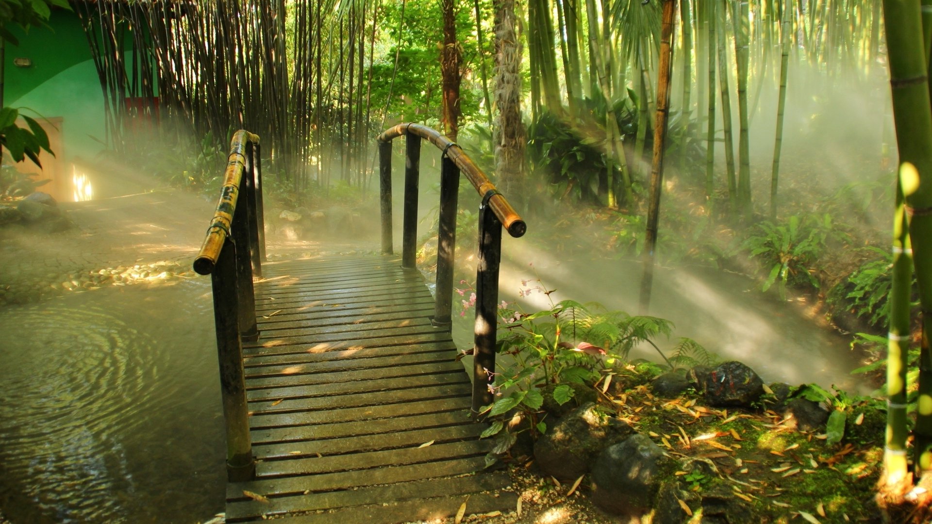 Bamboo Forest Wallpapers