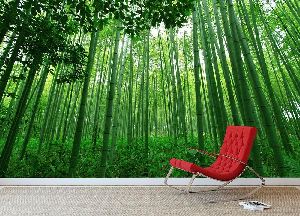 Bamboo Forest Wallpapers