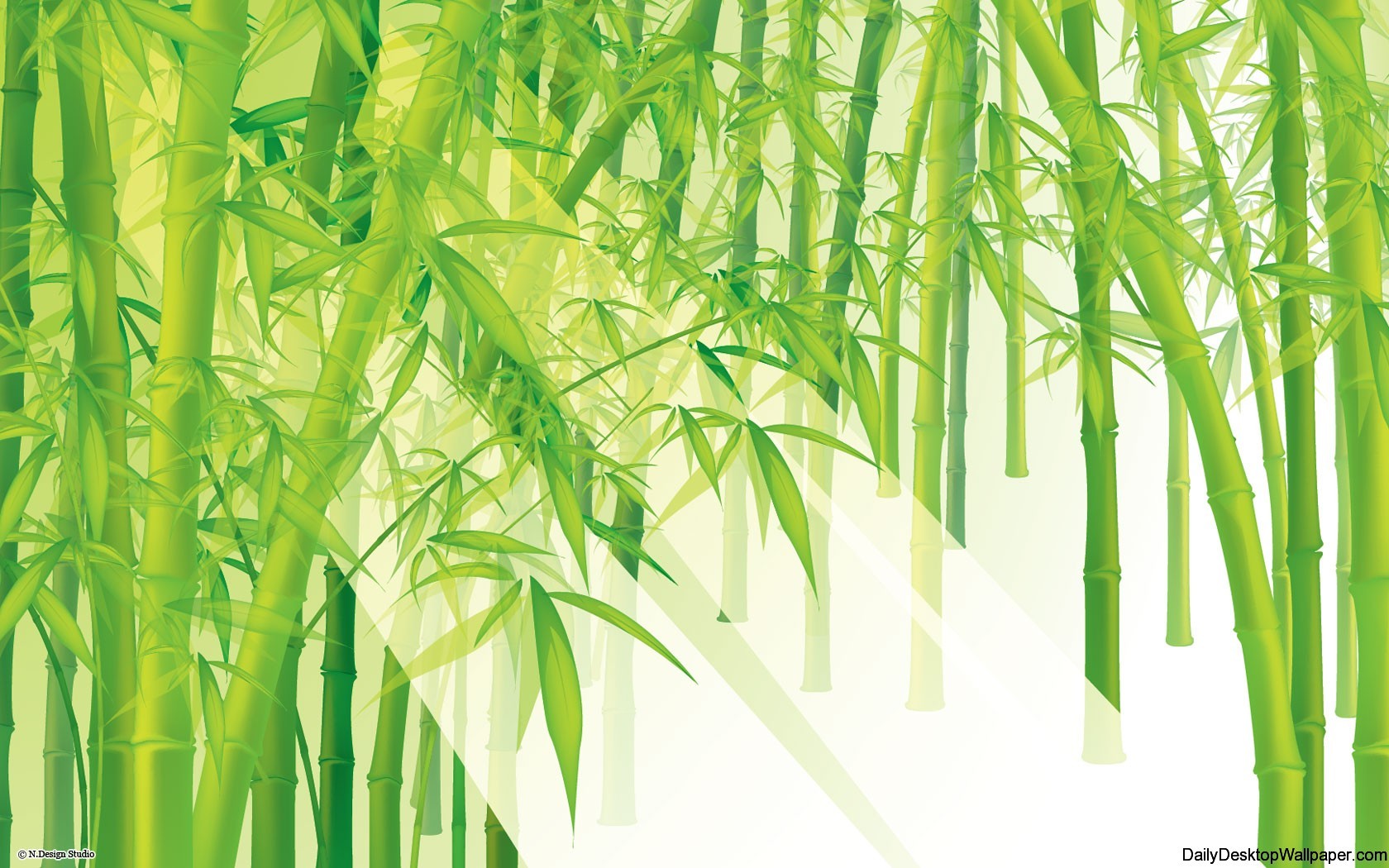 Bamboo Hd Wallpapers