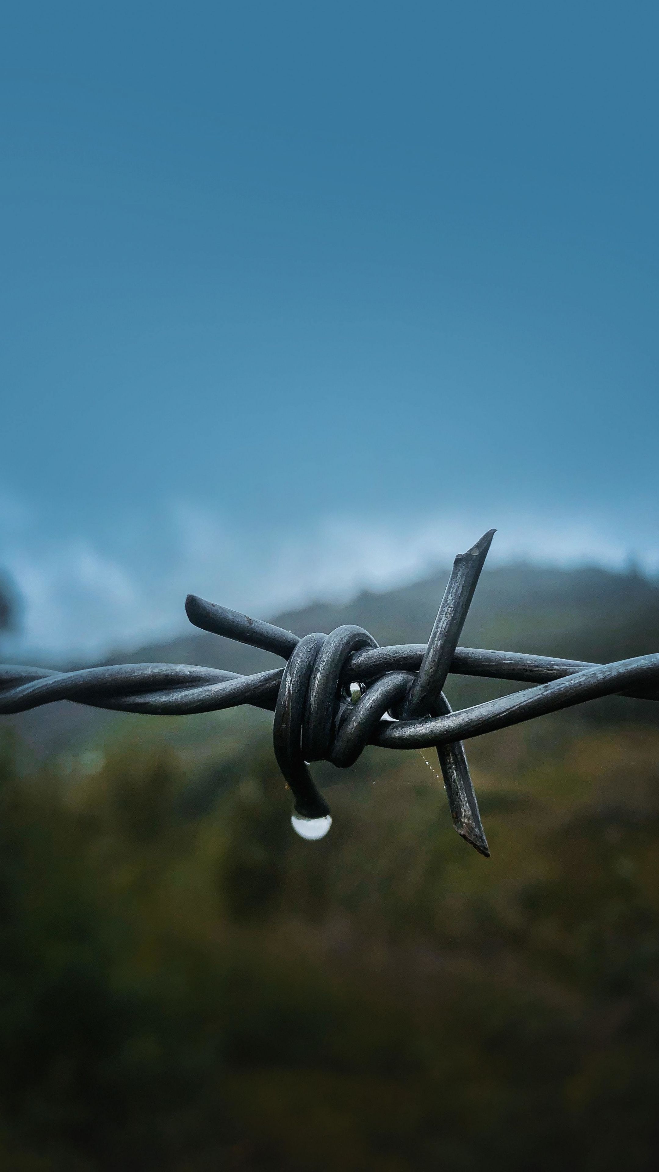 Barbed Wire Wallpapers