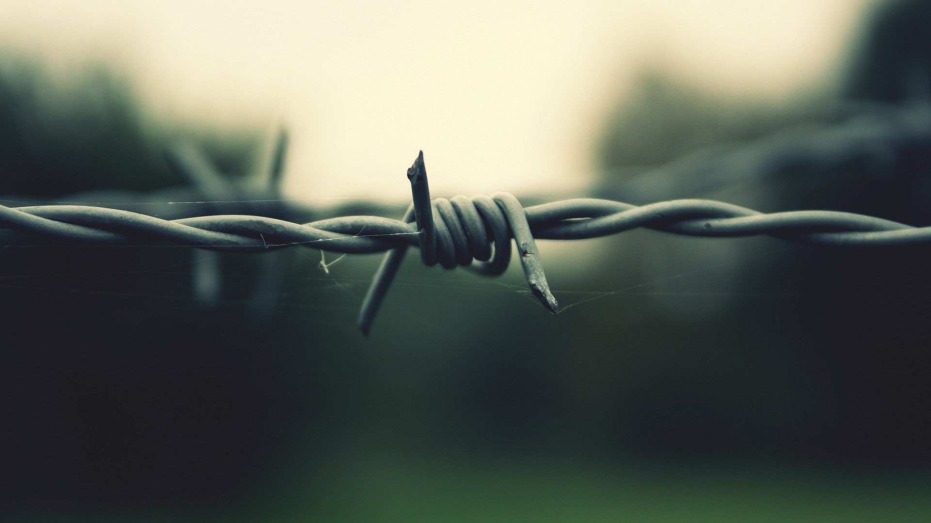 Barbed Wire Wallpapers