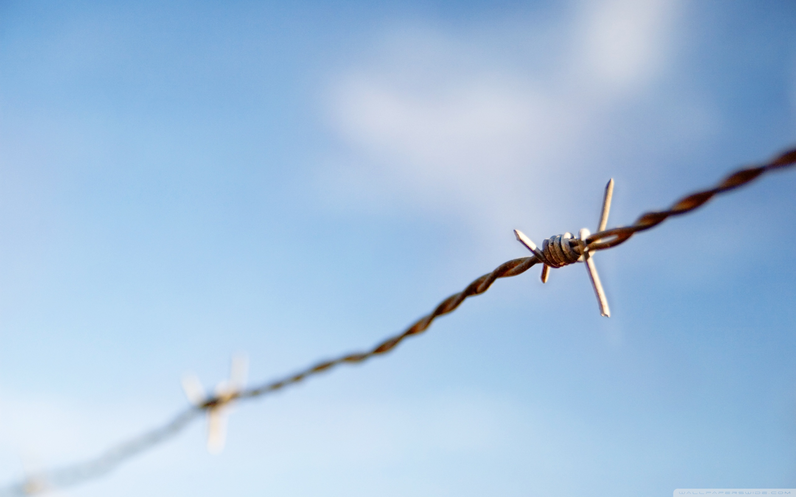 Barbed Wire Wallpapers