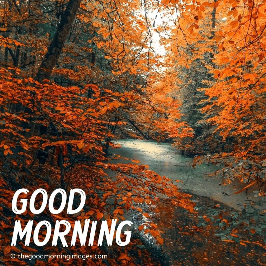 Beautiful Autumn Good Morning Images Wallpapers