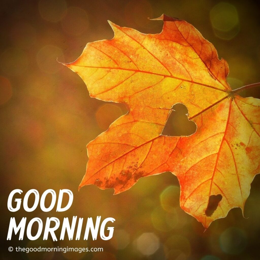 Beautiful Autumn Good Morning Images Wallpapers