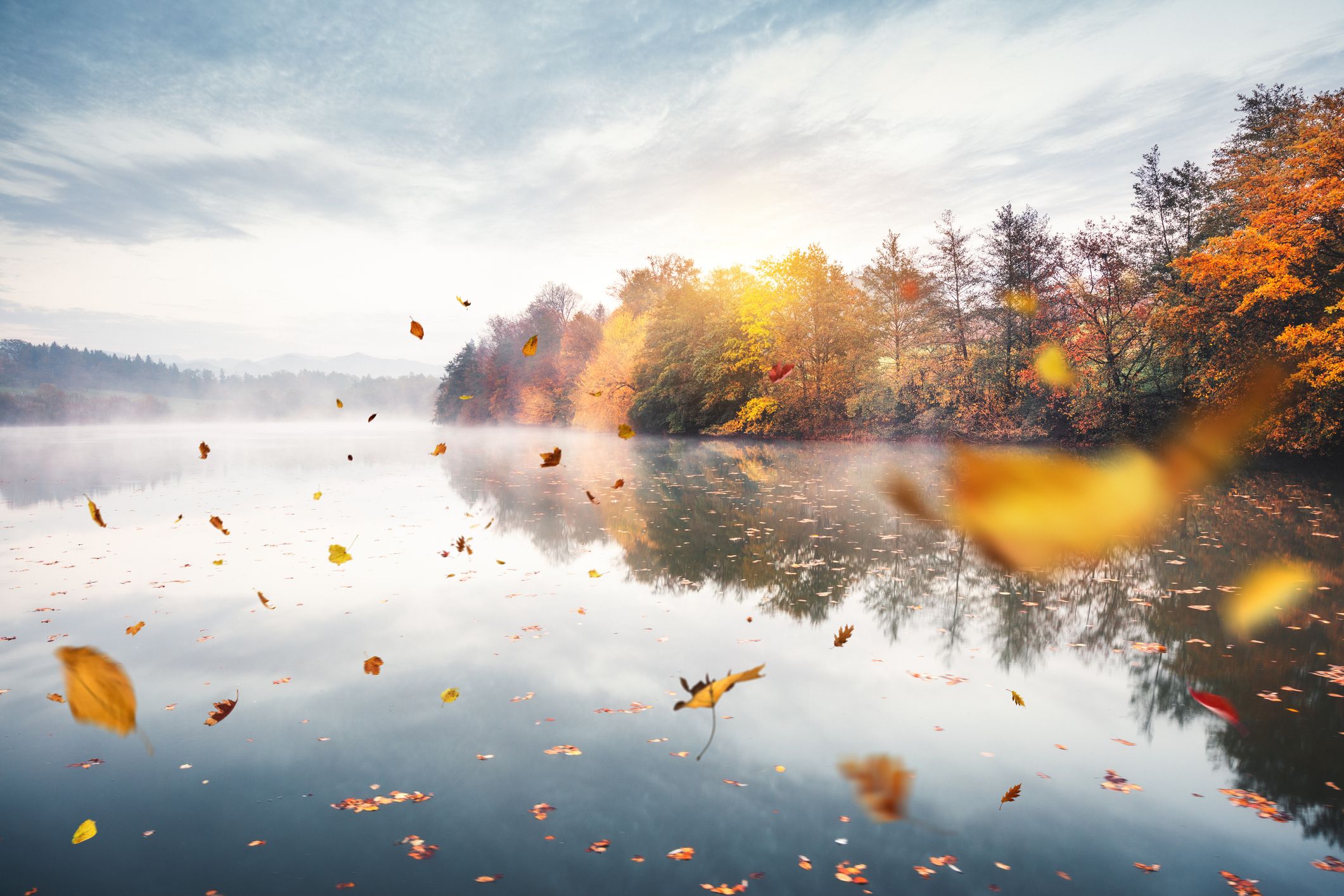 Beautiful Autumn Good Morning Images Wallpapers