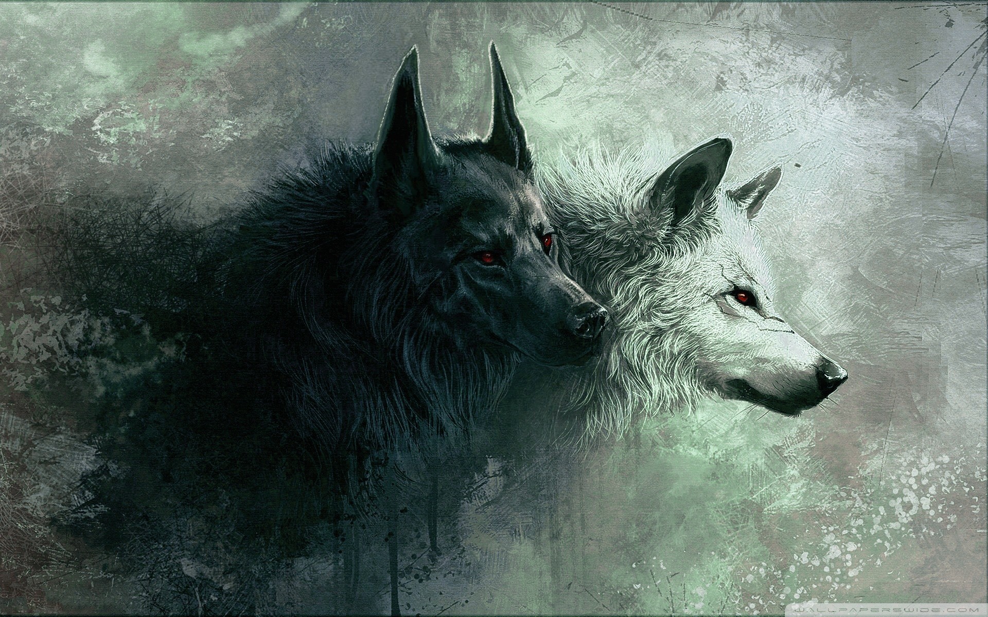 Beautiful Horses And Wolves Wallpapers