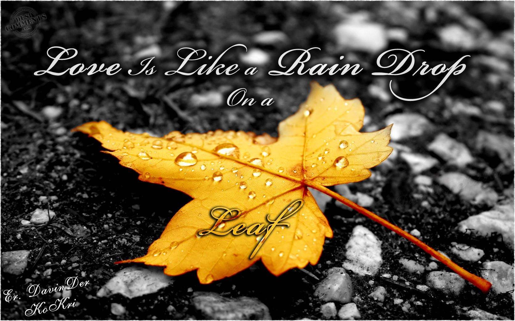 Beautiful Rain Drops With Quotes Wallpapers