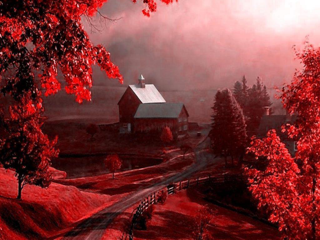 Beautiful Red Wallpapers