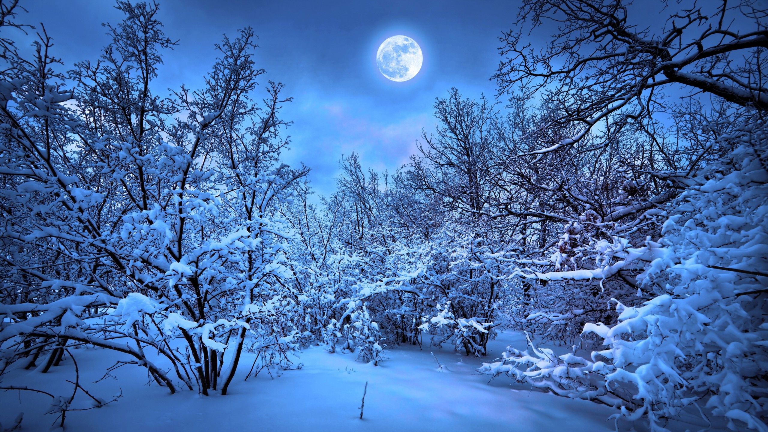 Beautiful Romantic Winter Wallpapers