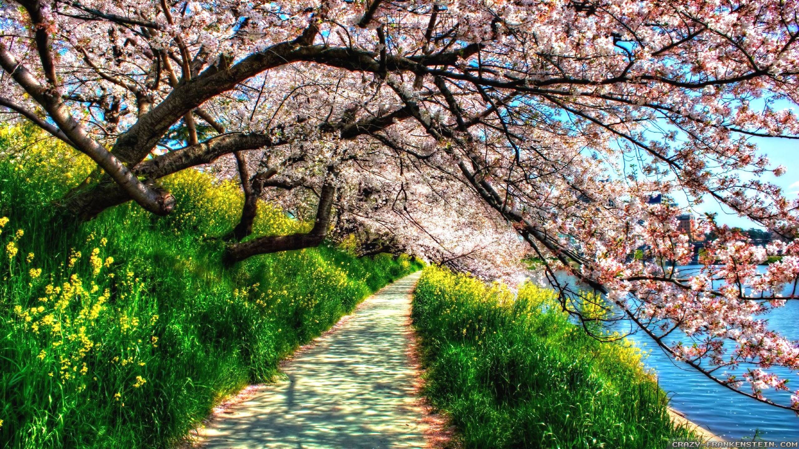 Beautiful Spring Landscape Wallpapers