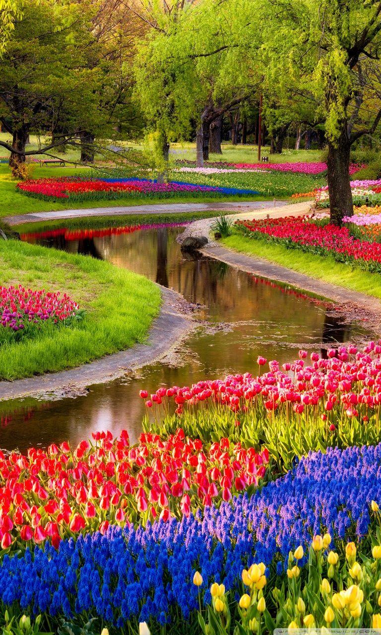 Beautiful Spring Landscape Wallpapers