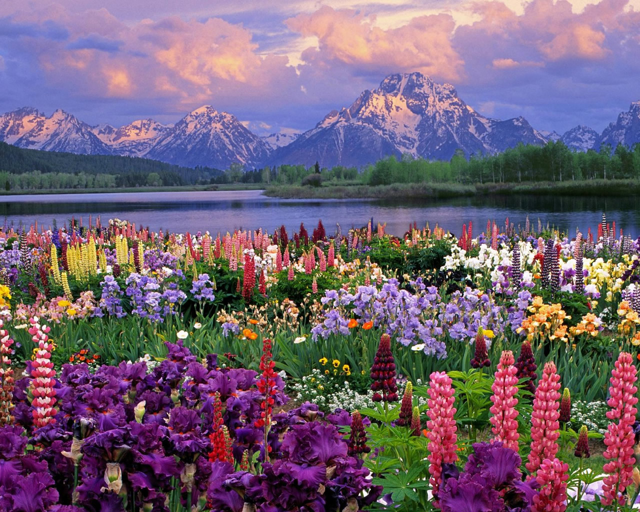 Beautiful Spring Landscape Wallpapers