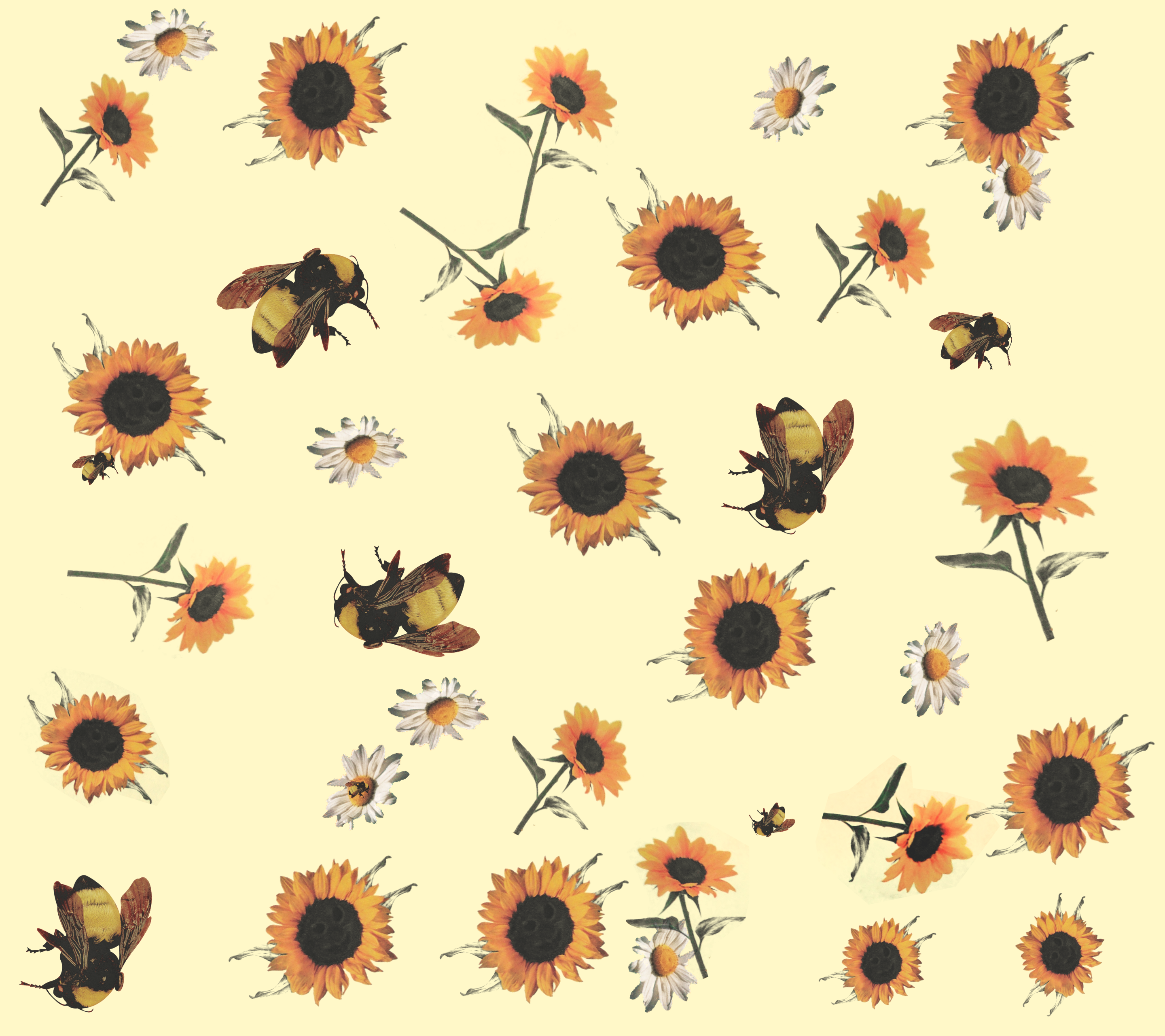 Bee And Flower Wallpapers