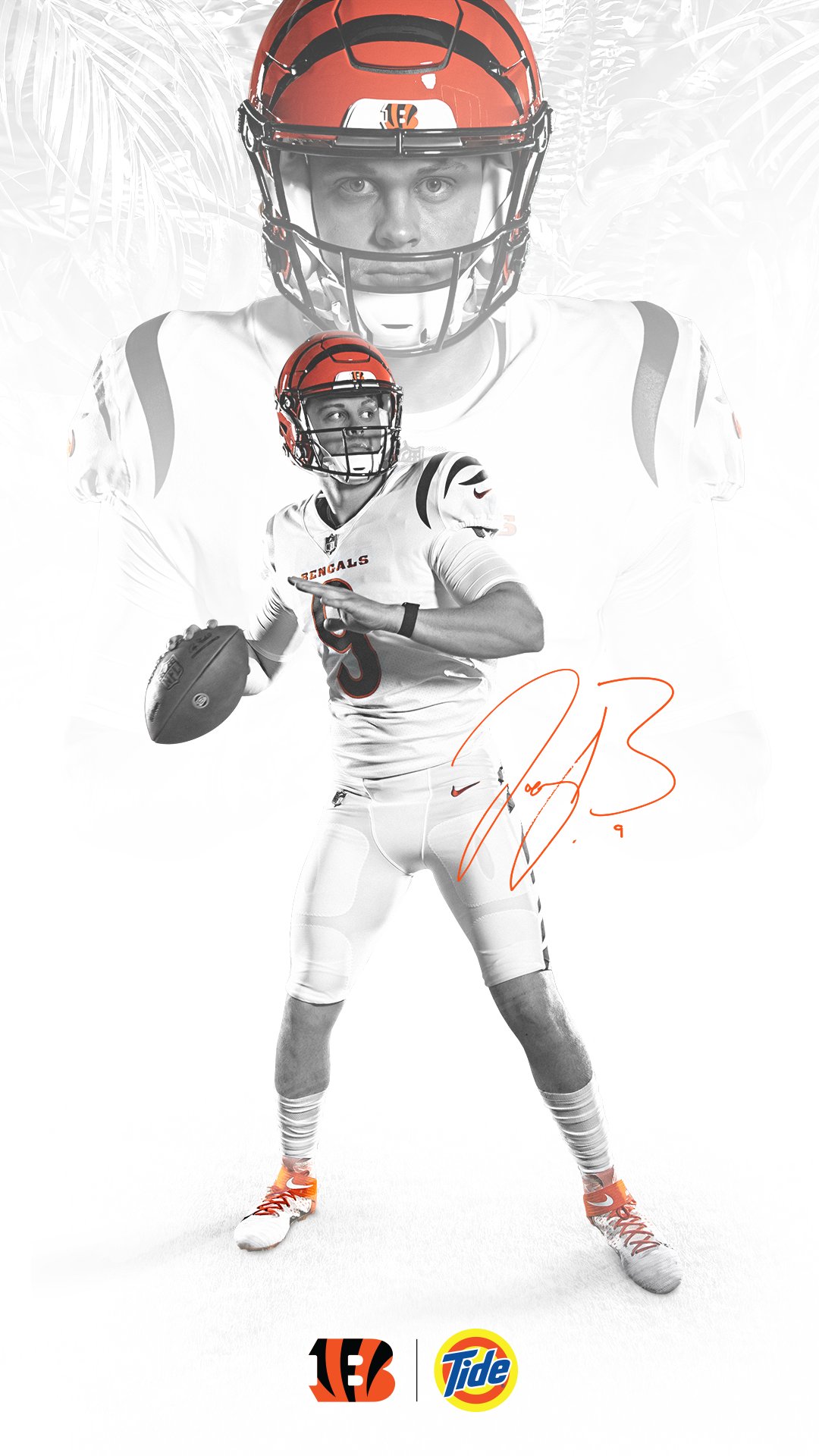 Bengals Wallpapers