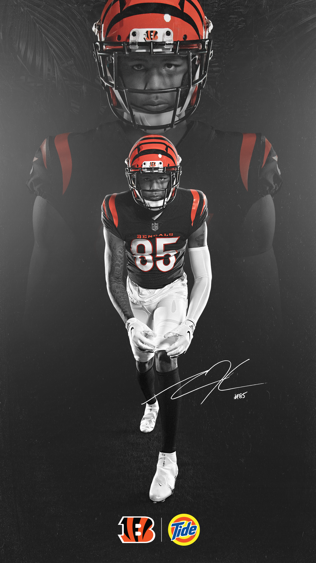 Bengals Wallpapers