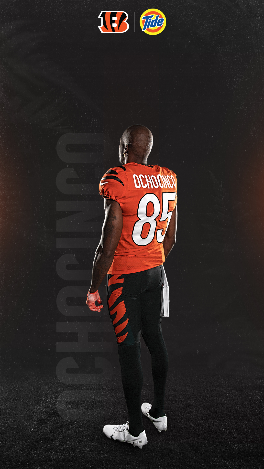 Bengals Wallpapers