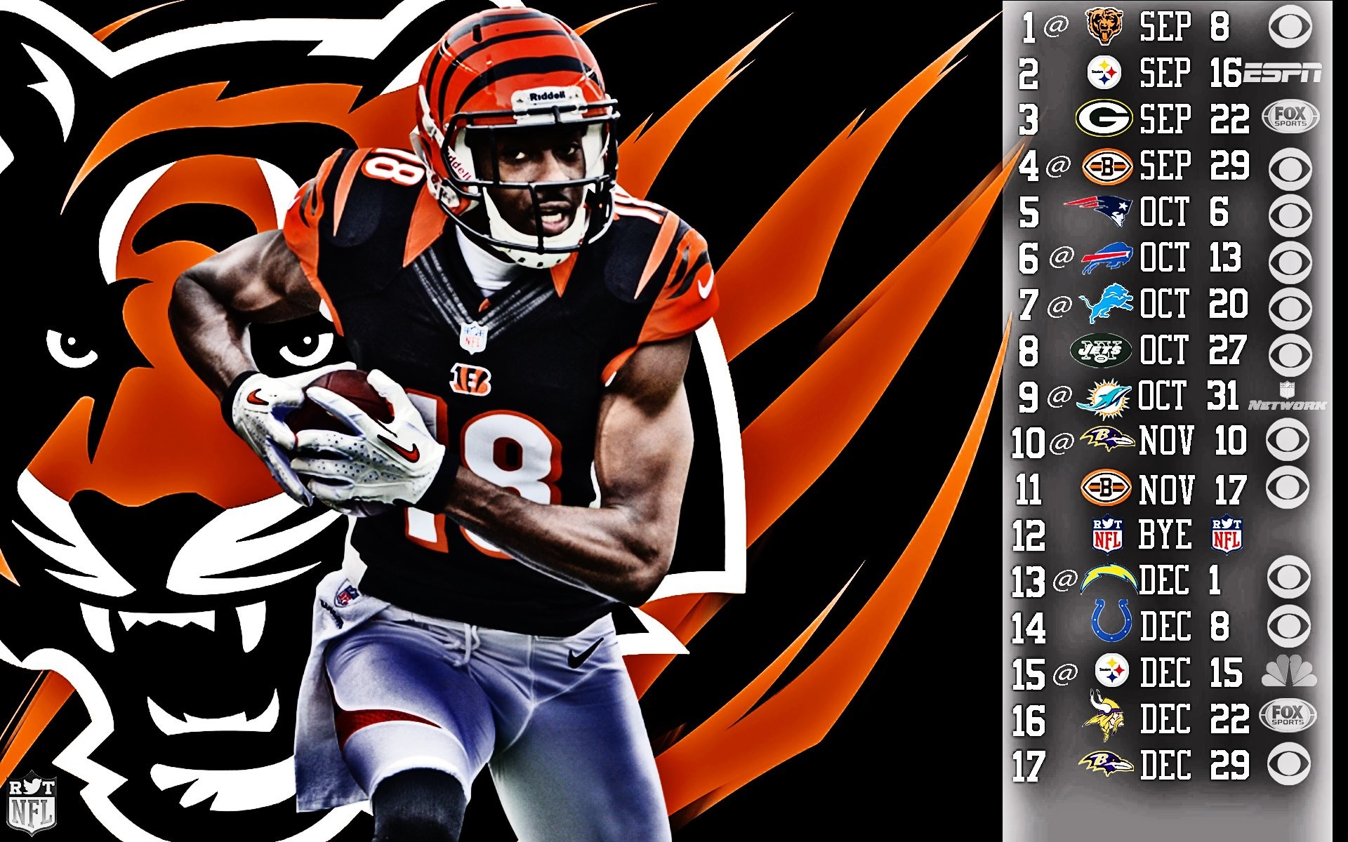 Bengals Wallpapers