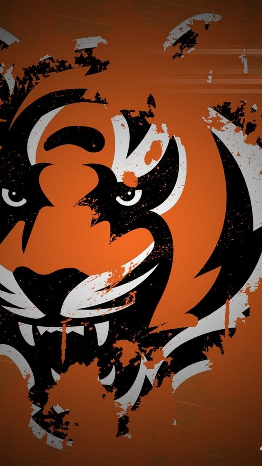 Bengals Wallpapers