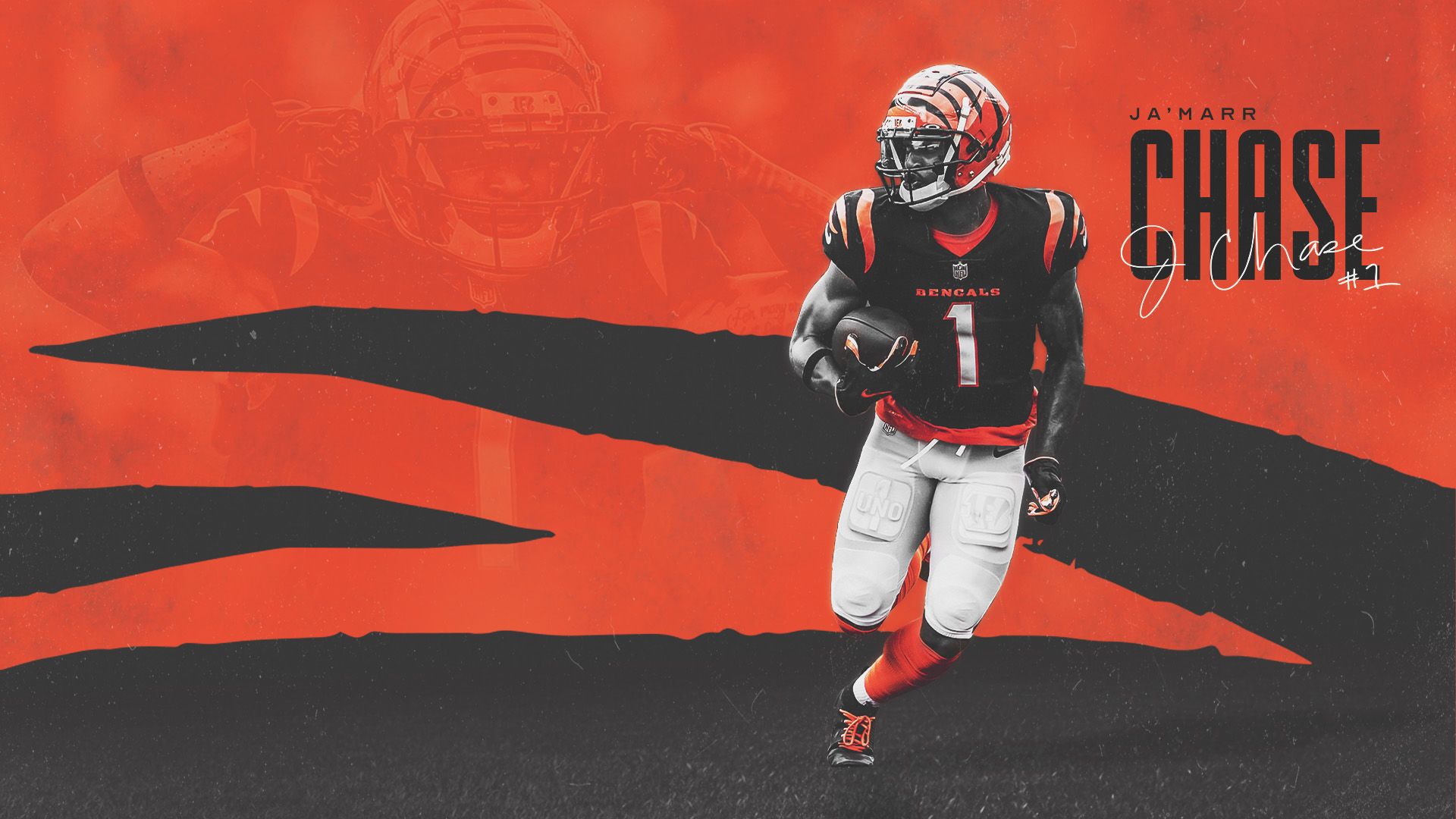 Bengals Wallpapers