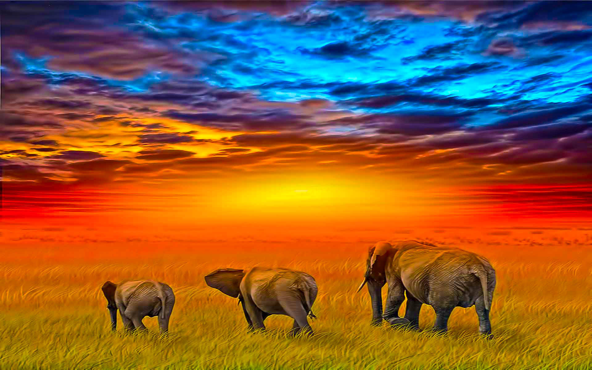 Best Africa Wallpapers