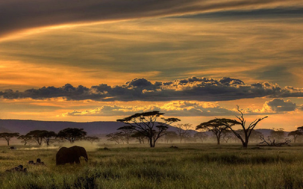 Best Africa Wallpapers