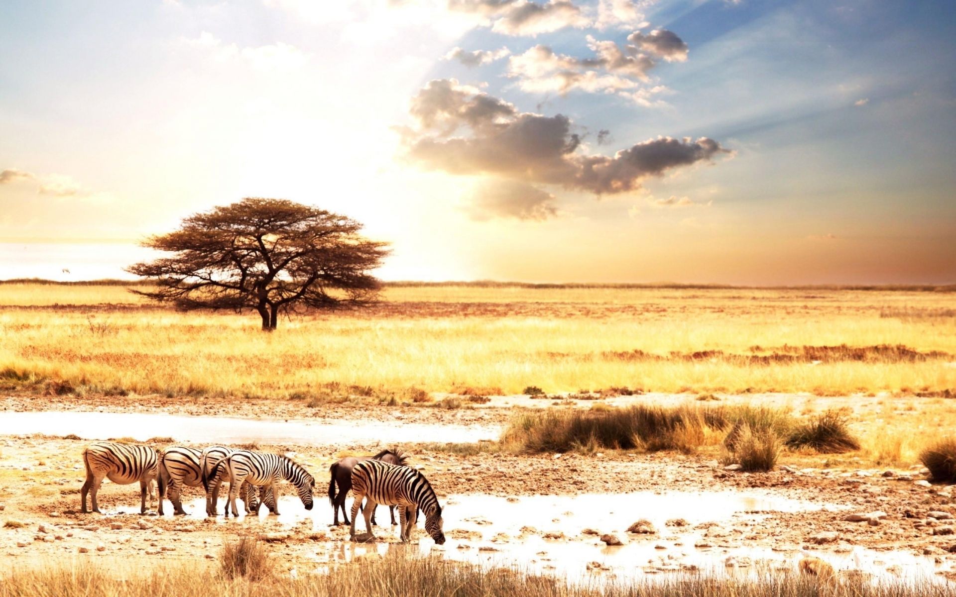 Best Africa Wallpapers