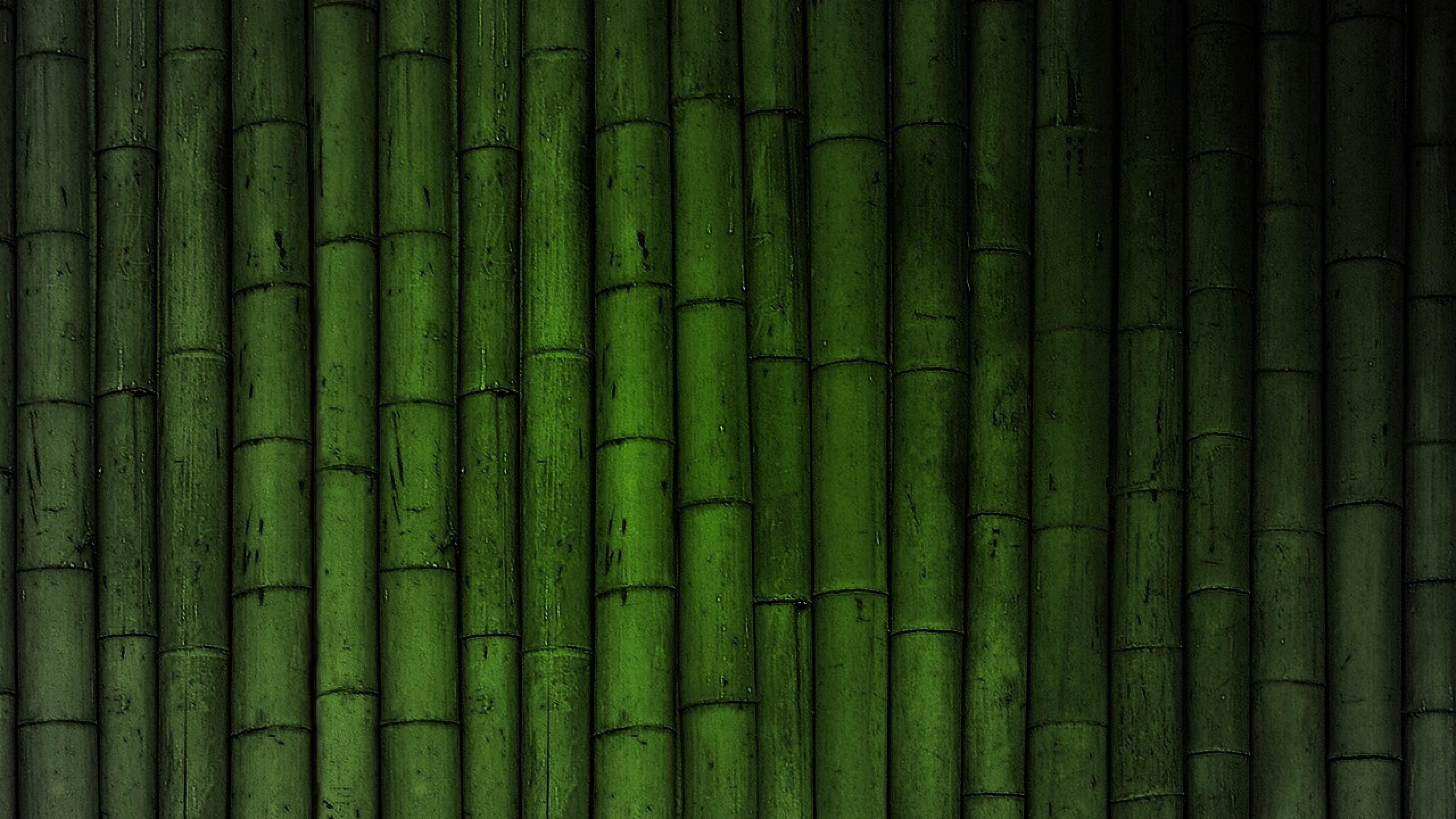 Best Bamboo Wallpapers