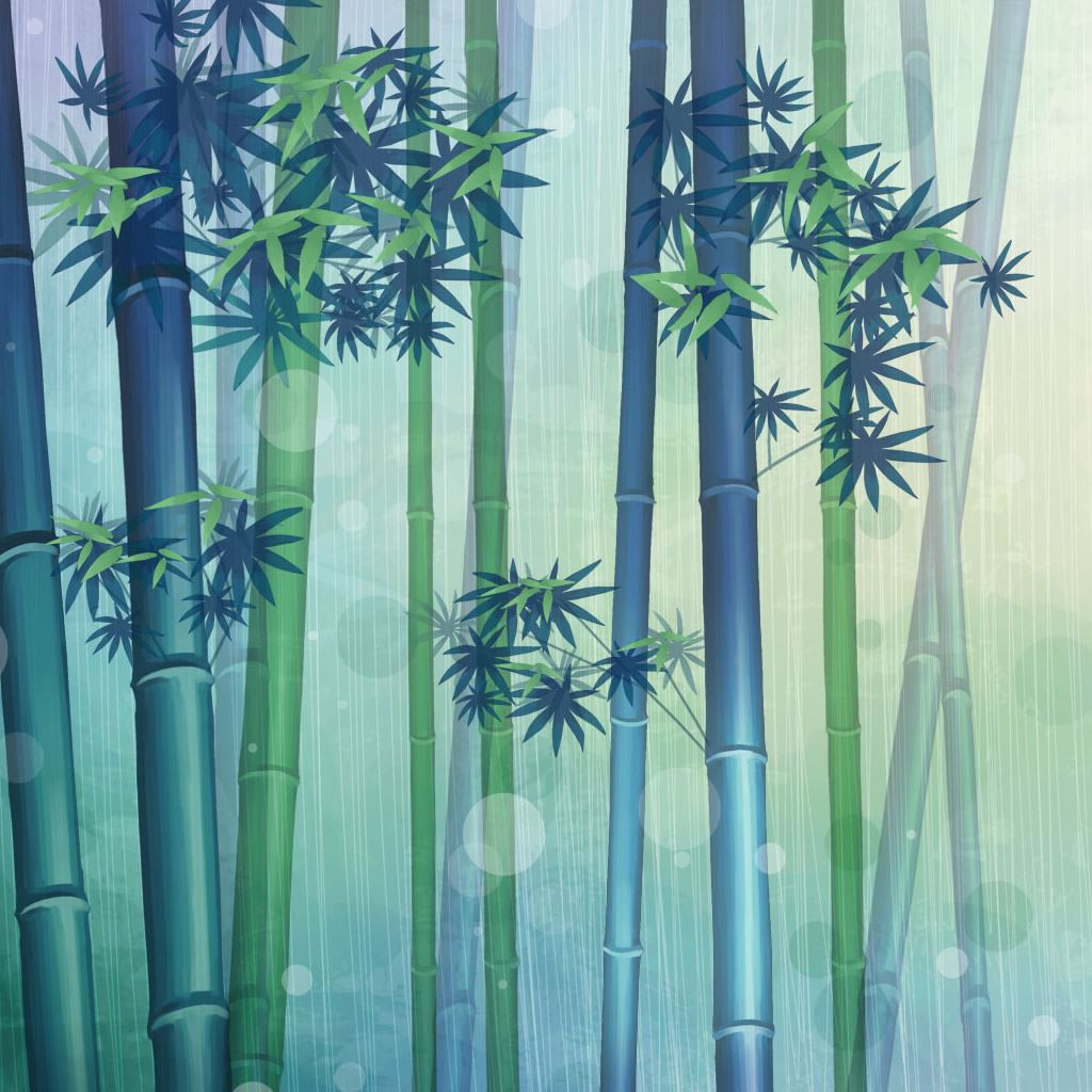 Best Bamboo Wallpapers