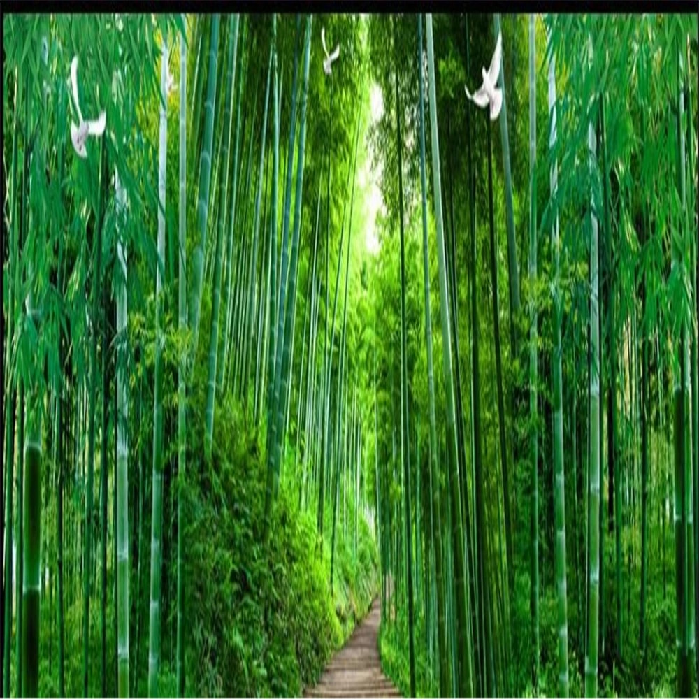 Best Bamboo Wallpapers