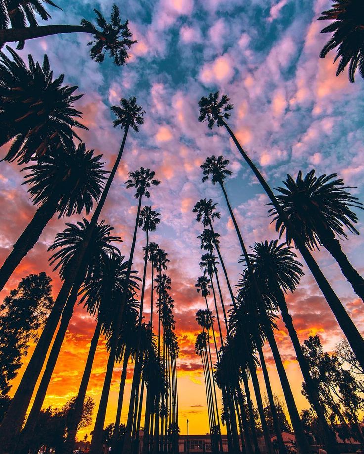 Best California Wallpapers